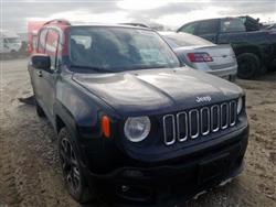 جيب رينيجيد